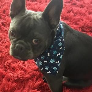 Meet your Posher, Scott